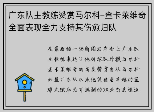 广东队主教练赞赏马尔科-查卡莱维奇全面表现全力支持其伤愈归队