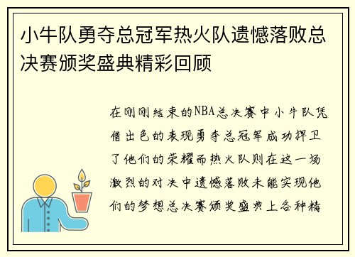 小牛队勇夺总冠军热火队遗憾落败总决赛颁奖盛典精彩回顾